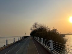 -贡湖湾湿地公园