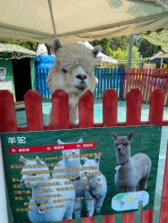 -萌宠亲子动物乐园(槐房万达店)