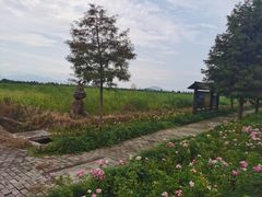 -漩门湾国家湿地公园