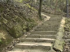 -灵顺寺