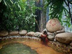 -三江森林温泉度假区