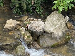 -辋川溶洞