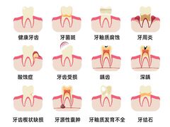-牙博士口腔品牌连锁(杨浦店)