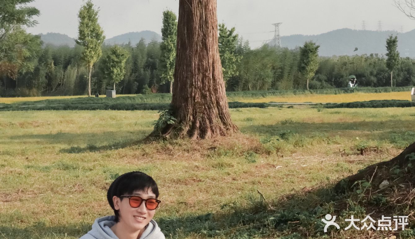 良渚古城 | 精华出游攻略&不完整打卡攻略