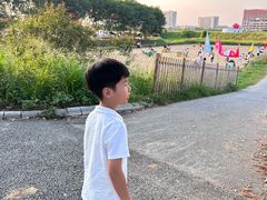 -光明小镇欢乐田园