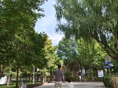 -康庄公园