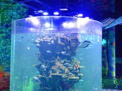 -青岛嘉年华主题乐园