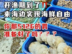 -巽寮湾