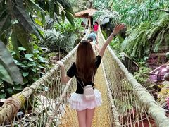 -正佳雨林生态植物园