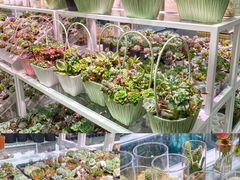 -KKV(深圳宏发大仟里店)