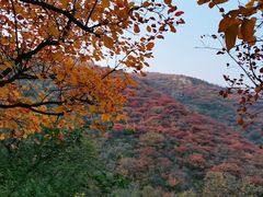 -香山公园