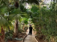 -石家庄市植物园