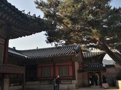 -景福宫