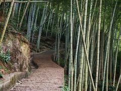 -林坑古村落