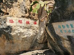 -抚仙湖禄充风景区