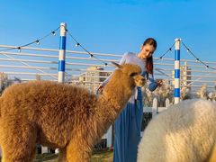 -Blue Concept Cafe&Farm·關於藍