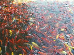 -泰安地下龙宫景区