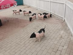 -北戴河圣蓝海洋公园