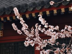 -北海公园