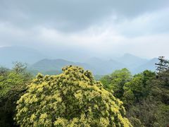 -青城山