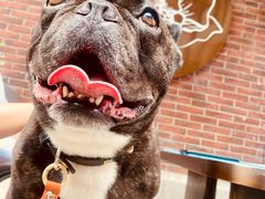 -LES ELITES 英集荟(南京西路店)