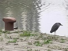 -苏州河梦清园环保主题公园