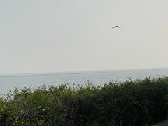 -贡湖湾湿地公园