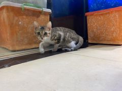 -绍兴名菜馆(可乐路店)