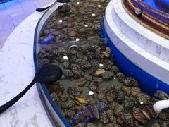 -澜悦港海鲜体验主题餐厅