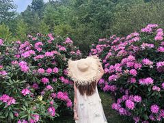 -名花谷生态庄园