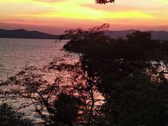 -上海市保健医疗中心