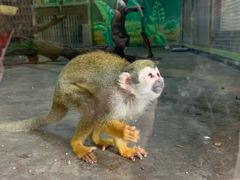 -西安秦岭野生动物园