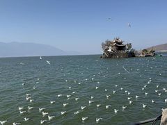 -小普陀
