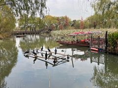 -长兴太湖图影湿地文化园