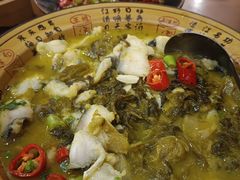 -邵年鸽(杨庄店)