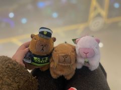 -汤姆熊欢乐世界(大连恒隆广场店)