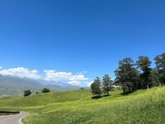 -新疆那拉提国家旅游度假区