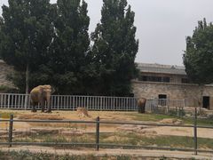 -石家庄市动物园