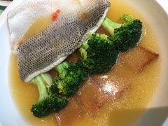 非一般鲈鱼-大树餐厅(红旗街万达店)