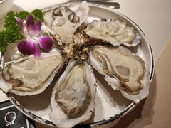 -古膳记猪肚鸡.生蚝鸡(拱北店)