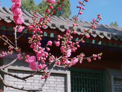-天坛公园