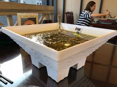 -杨记隆府(白象街店)
