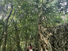 -七仙岭温泉国家森林公园