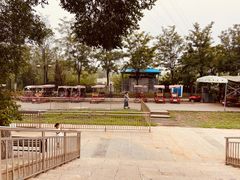 -永定河休闲森林公园