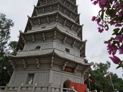 -深圳国际园林花卉博览园