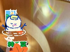 -金宝贝早教(南山花园城店)