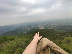 -北京西山国家森林公园