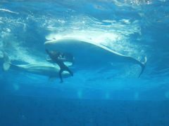 -石林冰雪海洋世界