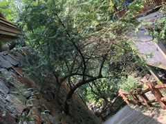 -藏龙百瀑漂流