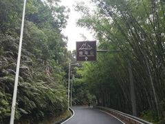 -广州市帽峰山景区